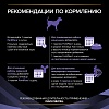 Пурина ФОРТИФЛОРА кормовая добавка с пробиотиком для восстановления микрофлоры кишечника у собак и щенков, 1уп, 30шт по 1г, Purina FortiFlora