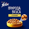 Феликс ПРИРОДА ВКУСА влажный корм для кошек с курицей, кусочки в соусе, 75г, FELIX