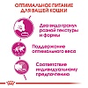 Роял Канин СЭЙВОР ЭКСИДЖЕНТ сухой корм для кошек, привередливых к вкусу корма,  4кг, ROYAL CANIN Savour Exigent