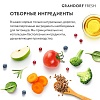 Грандорф Фреш ЭДАЛТ МИНИ беззерновой корм с живыми пробиотиками для собак мелких пород, свежее филе лосося с бататом,  3кг, GRANDORF FRESH Adult Mini