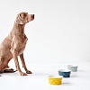 Миска для животных Хантер ЭЙБИ 1900мл, синяя, керамика, 68651, HUNTER Ceramic Bowl Eiby