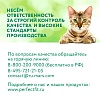 Перфект Фит ИММУНИТИ влажный корм для кошек для поддержки иммунитета, с говядиной и семенами льна в желе, 75г, PERFECT FIT Immunity