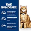 Хиллс C/D УРИНАРИ КЕА лечебный влажный корм для кошек для профилактики МКБ, кусочки в соусе с лососем, 85г, HILL'S Prescription Diet C/D Urinary Care