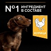 Про План СМОЛЛ МИНИ ПАППИ сухой корм для щенков мелких пород, с курицей, 3кг, PRO PLAN Small & Mini Puppy 