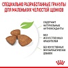 Роял Канин ИКС-СМОЛЛ ПАППИ сухой корм для щенков миниатюрных пород,  500г, ROYAL CANIN Х-Small Puppy
