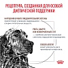 Роял Канин ГАСТРОИНТЕСТИНАЛ лечебный влажный корм для собак при заболеваниях ЖКТ, паштет, 85г, ROYAL CANIN Gastrointestinal 