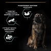 Про План ЛАДЖ РОБУСТ СЕНСИТИВ сухой корм для собак крупных пород с мощным телосложением, с ягненком, 14кг, Pro Plan Large Robust Sensitive Digestion