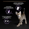 Про План КИТТЕН влажный корм для котят, с курицей в желе, 85г, PRO PLAN Kitten Healthy Start