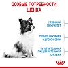 Роял Канин ИКС-СМОЛЛ ПАППИ сухой корм для щенков миниатюрных пород,  500г, ROYAL CANIN Х-Small Puppy