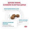 Роял Канин ГИПОАЛЛЕРДЖЕНИК лечебный сухой корм для собак,  4кг, ROYAL CANIN Hypoallergenic 