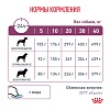 Роял Канин РЕНАЛ лечебный сухой корм для собак, 14кг, ROYAL CANIN RENAL
