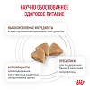 Роял Канин ГАСТРОИНТЕСТИНАЛ ПАППИ лечебный сухой корм для щенков,  1кг, ROYAL CANIN Gastrointestinal Puppy 