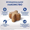 Перфект Фит ОРАЛ КЕА лакомство для кошек для здоровья зубов и полости рта, с курицей и мятой, 50г, PERFECT FIT Oral Care