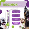 РЕГИНОКС ДЕНТАЛ средство для ухода за полостью рта собак и кошек 10г, REGINOX DENTAL