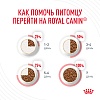 Роял Канин ДЕНТАЛ КЕА сухой корм для кошек для профилактики образования зубного камня,  400г, ROYAL CANIN Dental Care