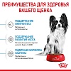 Роял Канин ИКС-СМОЛЛ ПАППИ сухой корм для щенков миниатюрных пород,  500г, ROYAL CANIN Х-Small Puppy