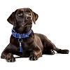 Ошейник для собак ХАНТЕР Канны 70, 35мм/54-62см, синий, натуральная кожа наппа, 61890, HUNTER CANNES