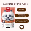 Ванпи Дог лакомство для собак ЛАКОМЫЕ КУСОЧКИ в форме рыбок с лососем, 100г, WANPY Dog