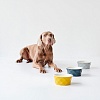 Миска для животных Хантер ЭЙБИ 350мл, синяя, керамика, 68648, HUNTER Ceramic Bowl Eiby