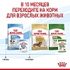Роял Канин МИНИ ПАППИ влажный корм для щенков мелких пород, кусочки в соусе, 85г, ROYAL CANIN Mini Puppy