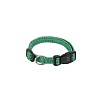 Ошейник для собак ГРИИНЕР, 25мм/70см, зелёный, 78140523, FERPLAST Greener