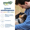 ДУКСО S3 СЕБ шампунь от перхоти и для жирной кожи, 200мл, Douxo S3 Seb Shampoo, Ceva Sante Animal