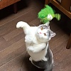 Дразнилка-удочка для кошек супердлинная, на присоске, 110см, 84527, CATTYMAN