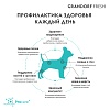Грандорф Фреш ЭДАЛТ МИНИ беззерновой корм с живыми пробиотиками для собак мелких пород, свежее филе лосося с бататом,  3кг, GRANDORF FRESH Adult Mini