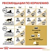 Роял Канин СФИНКС сухой корм для кошек породы Сфинкс, 10кг, ROYAL CANIN Sphynx