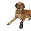 Ботинки для собак ВОЛКЕР КЕА, мягкие, размер XXL (Бернский Зенненхунд), в упаковке 2шт, нейлон, TRIXIE 