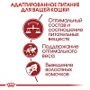 Роял Канин ФИТ сухой корм для кошек в возрасте от 1 до 7 лет,  2кг, ROYAL CANIN Fit 32