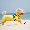 Дождевик-пыльник для собак с капюшоном, цвет в ассортименте, 001, PUPPY ANGEL