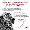 Роял Канин ГАСТРОИНТЕСТИНАЛ лечебный сухой корм для собак, 15кг, ROYAL CANIN Gastrointestinal