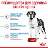 Роял Канин ДЖАЙНТ ЮНИОР сухой корм для щенков гигантских пород в возрасте с 8 до 18-24 месяцев,  3,5кг, ROYAL CANIN Giant Junior