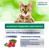 Перфект Фит ИММУНИТИ сухой корм для кошек для поддержки иммунитета, с индейкой, спирулиной и клюквой,  580г, PERFECT FIT Immunity