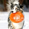 Игрушка для собак ДОГЛАЙК - ЛЕТАЮЩАЯ ТАРЕЛКА средняя, Ø22см, оранжевая, DT-7334, DOGLIKE