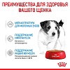 Роял Канин МИНИ ПАППИ влажный корм для щенков мелких пород, кусочки в соусе, 85г, ROYAL CANIN Mini Puppy