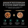 Про План СТЕРИЛАЙЗД РЕНАЛ ПЛЮС сухой корм для стерилизованных кошек с поддержкой функции почек, с лососем,   400г, PRO PLAN Sterilised Renal Plus