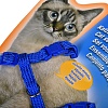 Шлейка для кошек, синяя, нейлон, 72218-06, NOBBY