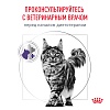 Роял Канин НЬЮТРИД МЭЙНТЕНЭНС диетический влажный корм для кастрированных котов и кошек, кусочки в соусе, 85г, ROYAL CANIN Neutered Maintenance