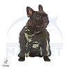 Комбинезон для собаки ЧАУ-ЧАУ, дождевик - камуфляж, без подкладки, на кобеля, длина спины 52см, обхват груди 99см, ТУЗИК