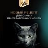 Шеба влажный корм для кошек, ломтики в желе с форелью, 75г, SHEBA Core