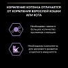 Про План КИТТЕН влажный корм для котят, с курицей в желе, 85г, PRO PLAN Kitten Healthy Start