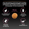 Про План ЛАДЖ РОБУСТ СЕНСИТИВ СКИН сухой корм для собак крупных пород с мощным телосложением, с лососем, 14кг, PRO PLAN Large Robust Sensitive Skin