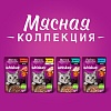Вискас РЫБНАЯ КОЛЛЕКЦИЯ влажный корм для кошек с лососем в желе, 75г, WHISKAS