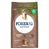 Форца10 МЕЙНТЕНАНС МЕДИУМ ЭДАЛТ сухой корм для собак средних пород с ягненком и рисом, 12кг, Forza10 Maintenance Medium Adult 